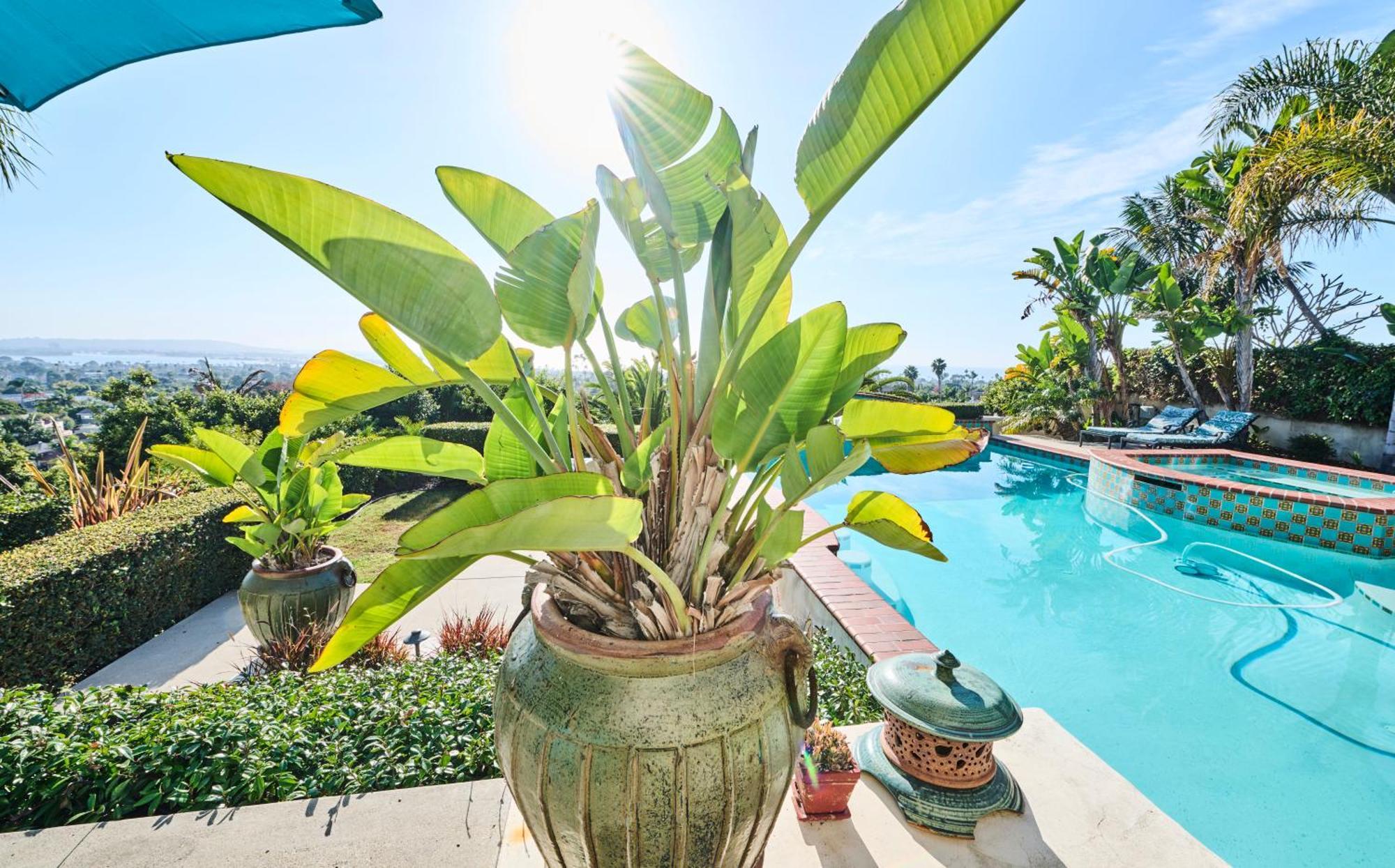 360 Degree Ocean & City Views With Pool, Spa, Close To The Beach! Pets Ok San Diego Ngoại thất bức ảnh